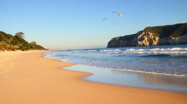 Les destinations idéales en France : montagnes et plages à découvrir